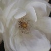 40"x40" Sweet Gardenias Hand Painted Framed Wall Art White/Black/Gold - A&B Home: Botanical Art Deco, D Ring Mount - 2 of 4