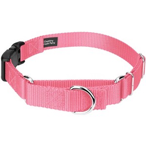 Country Brook Petz Heavy Duty Nylon Martingale Dog Collar with Deluxe Buckle - 30+ Vibrant Color Options - 1 of 4