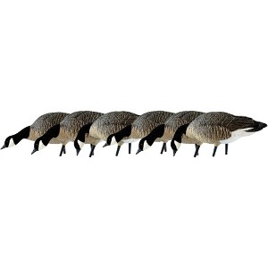Avian X AXP Lessers : Feeder Pack of 6 Decoys - 1 of 2