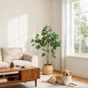 4/5/6/7FT Artificial Ficus Tree with Black Planter - Realistic Wood Trunk, Green Moss & Fruits for Home/Office Decor - 3 of 4