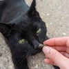 Hemp Well Hairball Cat Soft Chews - For Digestion & Gut Health - 60 ct. - 4 of 4