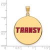 Black Bow Jewelry 14k Yellow Gold Plated Sterling Silver Transylvania Pioneers NCAA Extra Large Pendant - 2 of 3