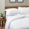 Cosy House Collection Luxury Rayon Derived from Bamboo Duvet Cover Set - image 3 of 4