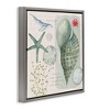 Stupell Industries Sea Shell Inspirational Collage, 25" x 25" - 3 of 4