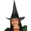 Rubies Twinkle Witch Toddler/Child Costume - 2 of 3