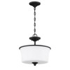 Craftmade Lighting Gwyneth 2 - Light Semi-Flush Mount in  Flat Black - 2 of 4