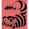 Boy's Alice in Wonderland Cheshire Cat Pocket Sketch Performance Tee - 2 of 4