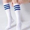 Retro Stripe Pattern Knee Hhigh Socks from the Sock Panda (Women's Sizes Adult Medium) - 2 of 4