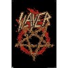 Trends International Slayer - Thorns Unframed Wall Poster Prints - 4 of 4