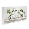 Stupell Industries Traditional Potted Cottage Plants, 24" x 10" - 3 of 4