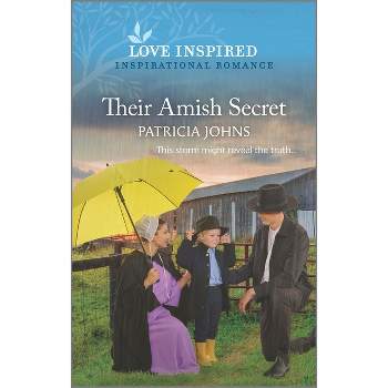 Their Amish Secret - (Amish Country Matches) by  Patricia Johns (Paperback)