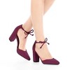 Allegra K Women's Ankle Tie Point Toe High Block Heel Dress Pumps - 2 of 4