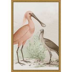 Amanti Art Antique Chroma Waterbirds II by  Framed Canvas Wall Art - 1 of 4
