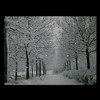 Northlight LED Lighted Fiber Optic Twinkling Snow Covered Tree Scene Canvas Wall Art 15.75" x 11.75" - 3 of 4
