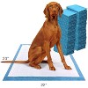 Four Paws Wee Wee Pads Odor Control - 100 Pack - (22"L x 23"W) - 2 of 3
