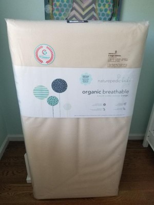 Guest review image 2 of 4, zoom in