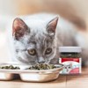 Bioline Catnip Leaves, 0.71 oz - 3 of 3