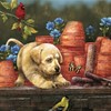 Hart Puzzles Puppies at Play by Bob Giordano, 24 x 30 1000 Piece Puzzle - 4 of 4