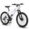 VASIP 26 inch Mountain Bike, Shimano 21 Speeds with Dual Disc Brakes and 100mm Front Suspension for Teenagers Girls Women - 2 of 4