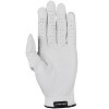 Etonic Golf MLH Stabilizer F1T Hybrid Glove - 2 of 4