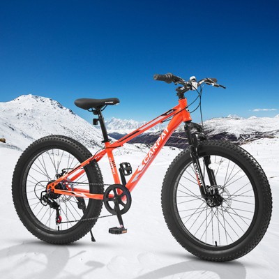Aukfa 24-Inch Fat Tire Mountain Bike for Adults/Teens, 7-Speed Shimano, Dual Disc Brakes, Front Suspension, Steel Frame, Trail & City Ride,Multicolor