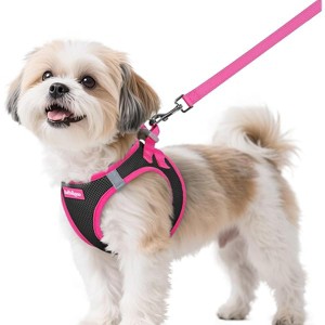 rabbitgoo Dog Harness Small Sized and Leash Set, Step-in Breathable Reflective Puppy Vest for Small Dogs, Black & Rose Red, S - 1 of 1