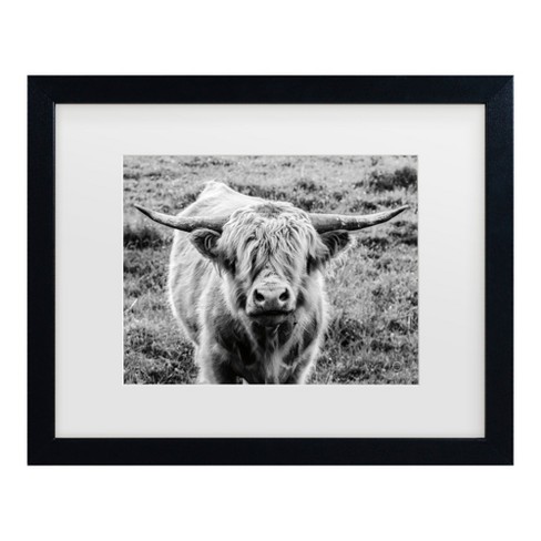 Trademark Fine Art - Nathan Larson Highland Cow Staring Contest Crop ...