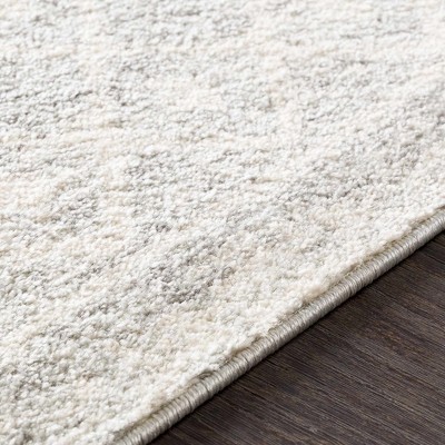 Hauteloom Constantin Gray Area Rug
