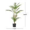 Gulches 51 Inch Pre Potted Artificial Palm Tree Plants with Long Feathery Leaves, Ideal for Indoor Gardens, Living Rooms & Bedrooms - 4 of 4