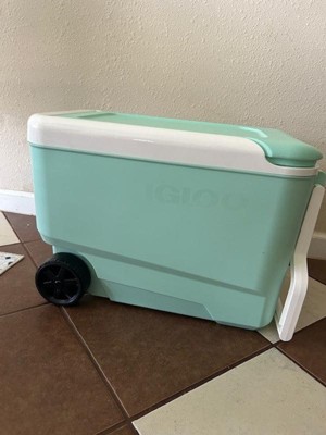 Guest review image 1 of 2, zoom in