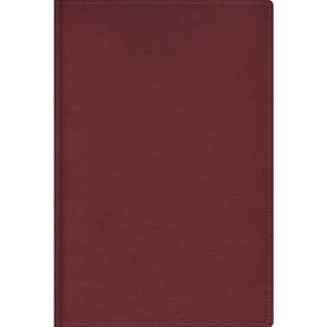 Rvr, Biblia de Estudio Trasfondo Cultural, Leathersoft, Rojo Vino, Interior a Color, Comfort Print - by  Reina Valera Revisada & Vida (Leather Bound) - 1 of 1
