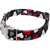 Country Brook Petz Premium Dog Collar - Affection Collection - 2 of 4