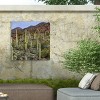 "Santa Catalina Mountains" Outdoor Canvas - image 4 of 4