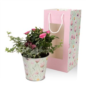 Mother's Day Live Plants Rose Garden Gift Bag - 1 of 4