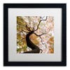 Trademark Fine Art -Kurt Shaffer 'Under a Japanese Maple 2' Matted Framed Art - 2 of 4