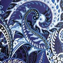navy paisley