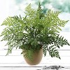 Floral Home 28" Leather Fern Bush with 7 Lifelike Fronds - 6-Piece - 3 of 4