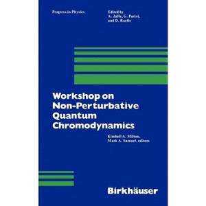 Workshop on Non-Perturbative Quantum Chromodynamics - (Progress in Mathematical Physics) by  Kimball Milton & M a Samuel (Paperback) - 1 of 1