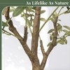 Gikpal 6ft Artificial Olive Tree – Realistic Faux Olive Tree with 1440 Leaves & Black Pot, Indoor Greenery for Living Room, Office, or Home Décor - 4 of 4