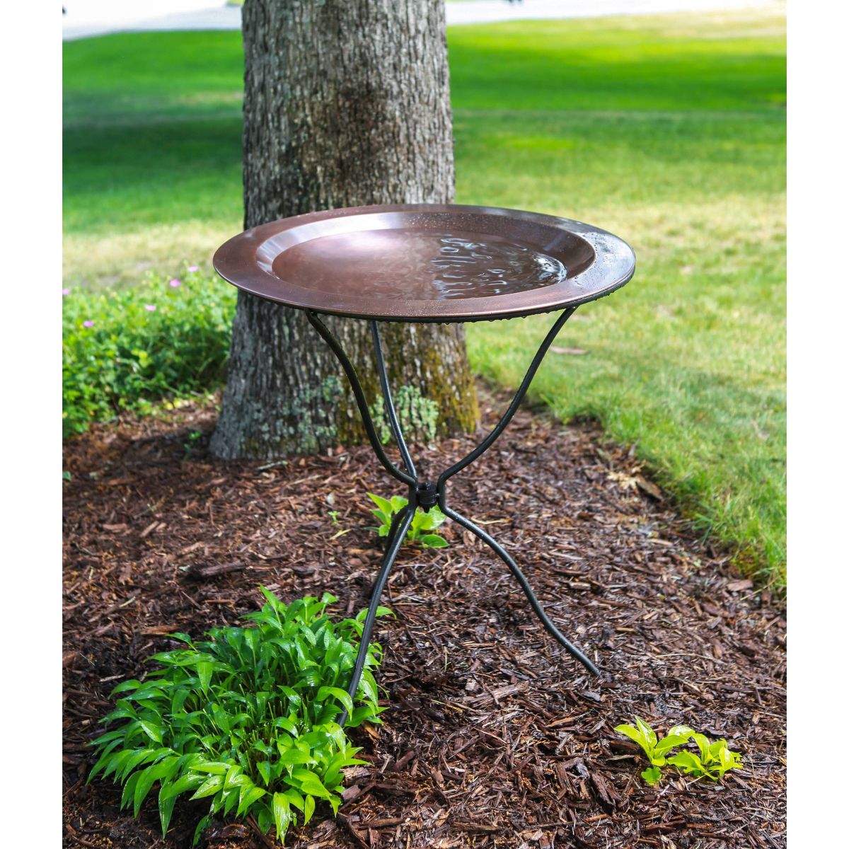 Tripod Ring Planter Stand with Removeable Ring Graphite Powder Coat Finish - Achla Designs: Weather-Resistant Iron Holder - thumbnail 5