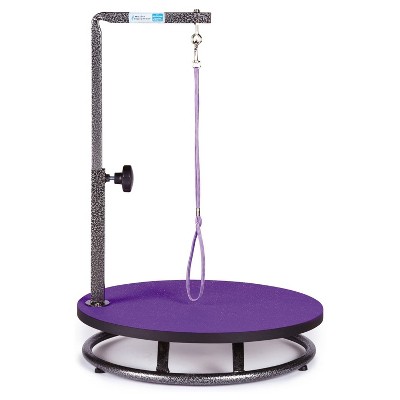 Master Equipment Rotating Pet Grooming Table for Dogs, Cats, and Small Animals Up to 110 Pounds with Adjustable Height Arm and Leash Loop, Purple