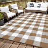 Waterproof Outdoor Rug Uv Resistant Plastic Straw Rug Modern Checkerboard Reversible Plaid Camping Carpet Picnic Mat for Beach, Backyard - 2 of 4