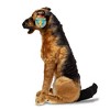 Melissa & Doug Giant German Shepherd - Lifelike Stuffed Animal Dog  (over 2 feet tall) - 3 of 4