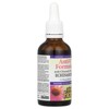 Natural Factors Anti-V Formula, with Clinically Proven Echinamide®, 1.7 fl oz ( 50 ml) - 4 of 4