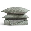 Wrenley Ruffle Printed Microfiber Quilt Set - 4 of 4