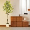 Artificial Lemon Tree Indoor, Pre Potted Faux Tree with Realistic Fruits & 100 Lighted Tree, Fake Tree for Home Decor; Artificial Plants Indoor - 3 of 4
