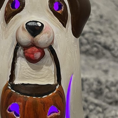 Guest review image 5 of 6, zoom in