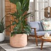 Nardo Large Planter Pot - Indoor/Outdoor - PAT1531 - Safavieh - 2 of 4