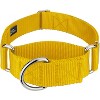 Country Brook Petz HossFit Jr Wide Martingale Dog Collar - Training Collar with No Buckle - Vibrant, Colorful Collection - 2 of 4