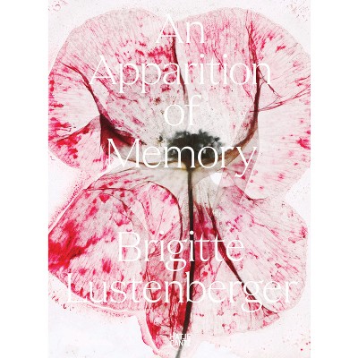 Brigitte Lustenberger: An Apparition of Memory - by  Nadine Barth & Kanton Bern & Brigitte Lustenberger (Paperback)
